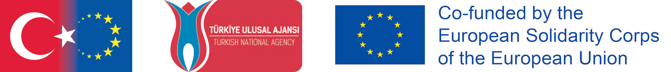 digitoolsvet banner 1